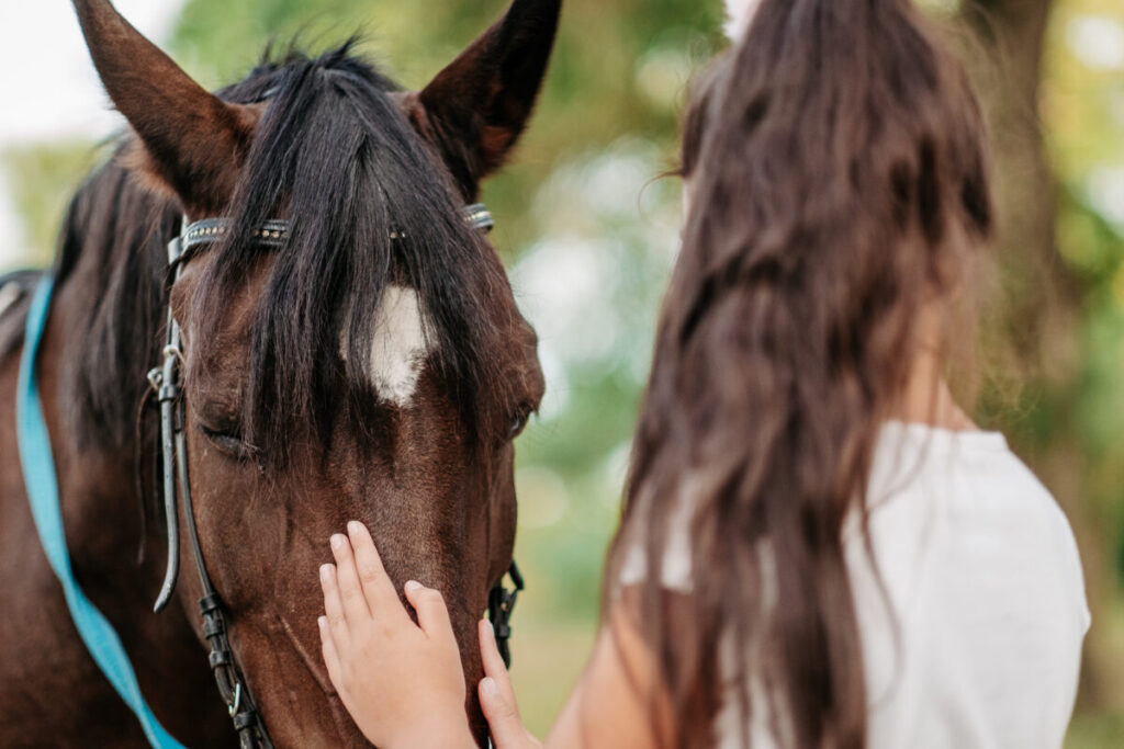 Equine Therapy